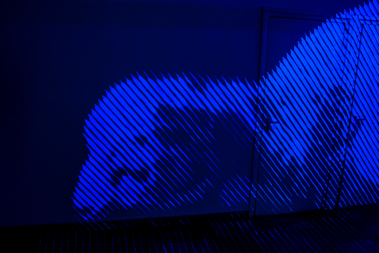 - cím nélkül - (Agnus Dei) | installáció, 2015
